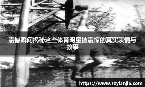 3377体育官网