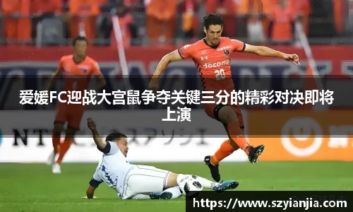 3377体育官网
