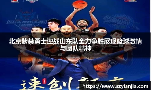 3377体育官网