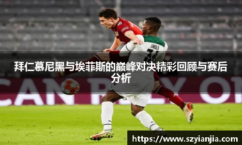 3377体育官网